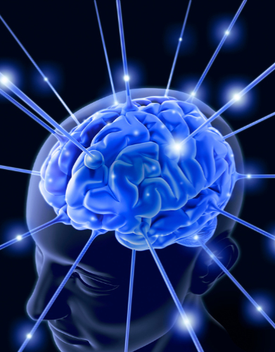 mind mind
